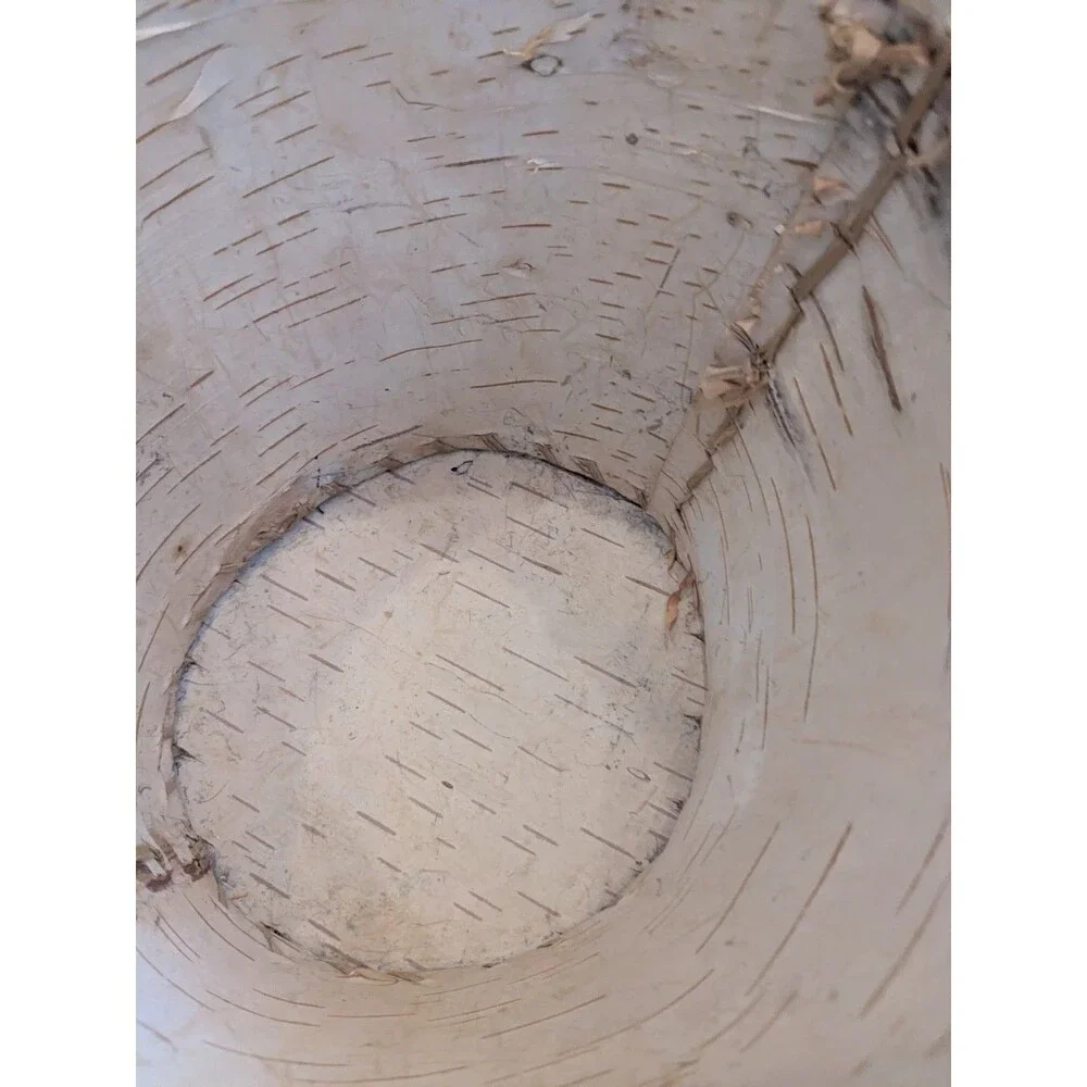 Vintage‎ Birch Bark Basket Native American Ojibwe Hand Made 7''